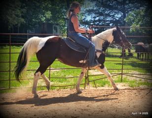 Montana – The Picture-Perfect Partner with All the Right Moves