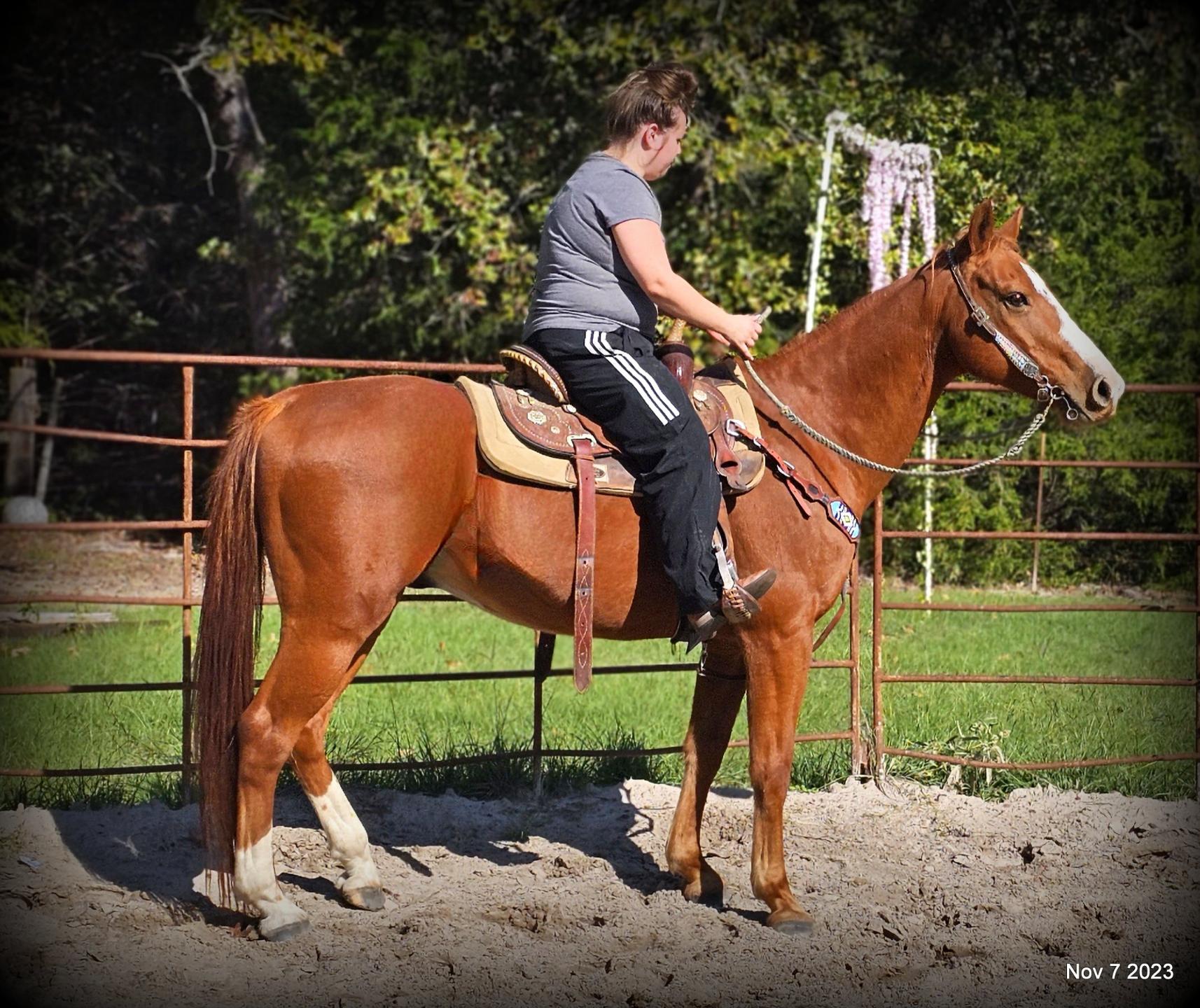 Levi