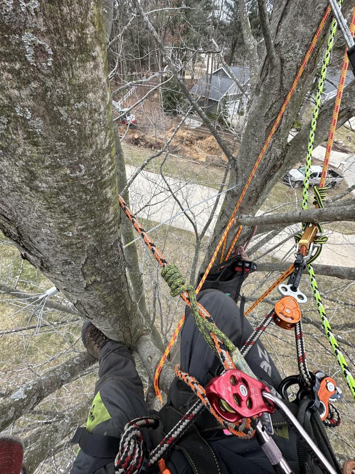 Cabling & Bracing