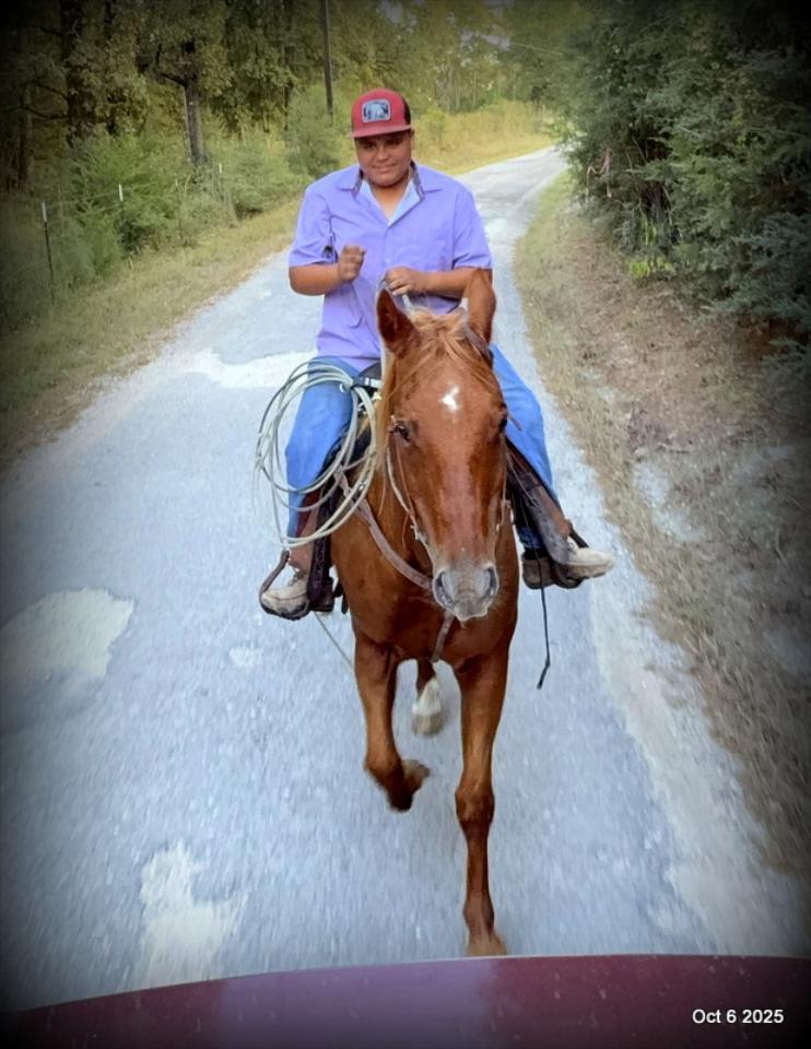 Biggie – Ranch-Tested, Family-Safe, and Ready to Ride!