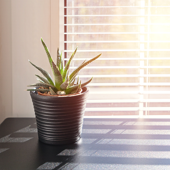 Let the Sunshine In: A Guide to Cleaning Window Blinds