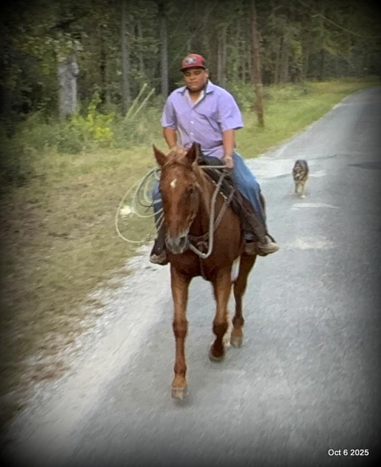 Biggie – Ranch-Tested, Family-Safe, and Ready to Ride!