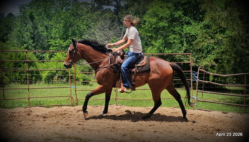 Darylslitlediablo (Diablo)