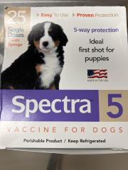 Spectra 5-way protection ideal for 1st shot for puppies