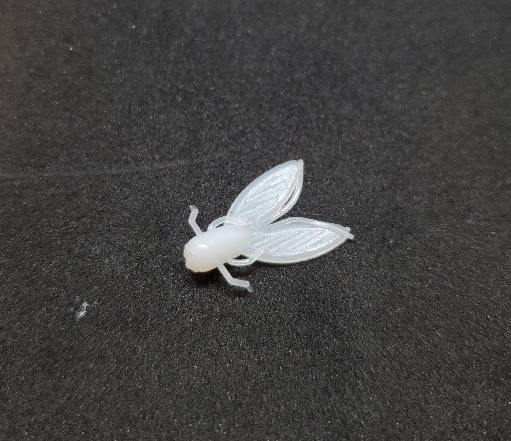 1" House Fly