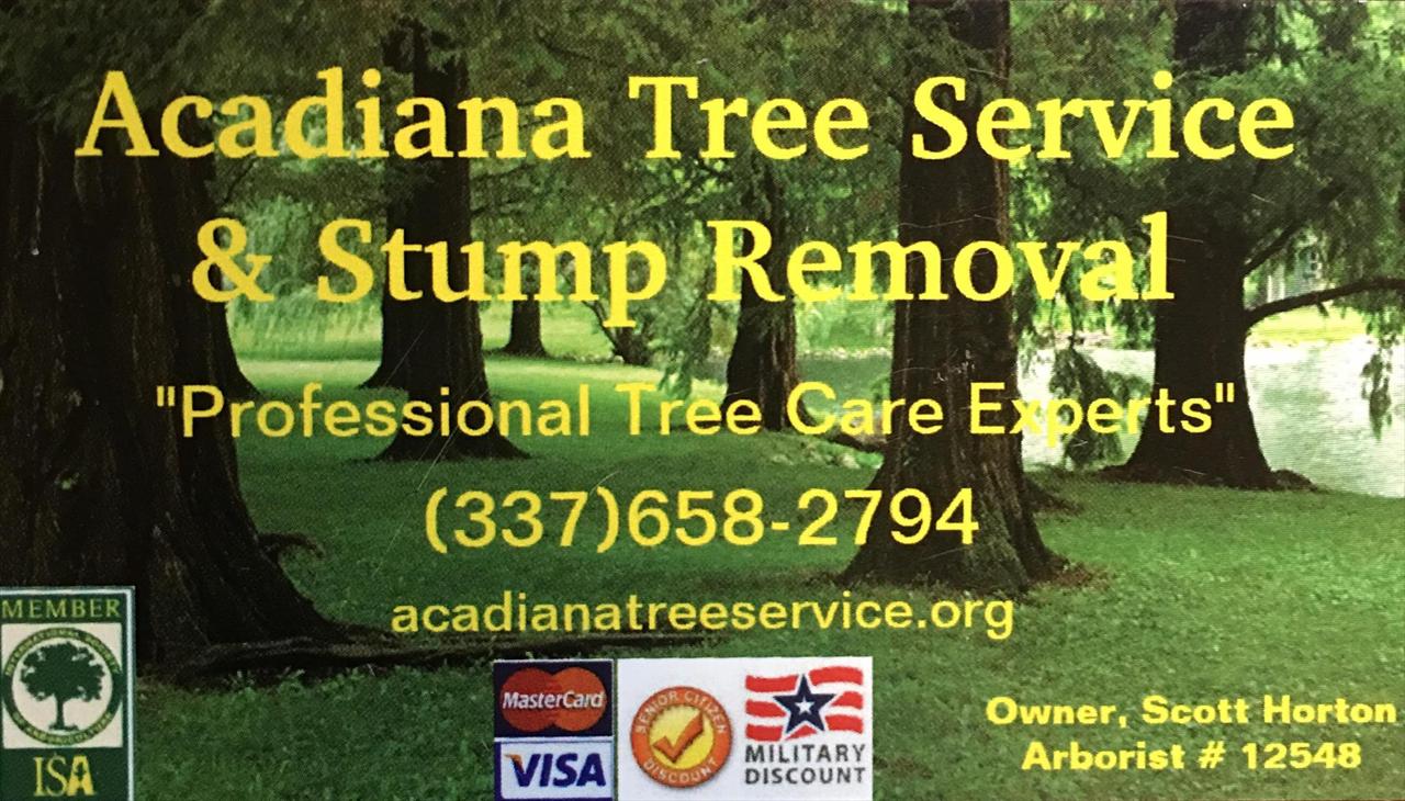 Tree pruning, also known as tree trimming, is the selective removal of tree limbs. There are many reasons to prune or trim tree limbs.