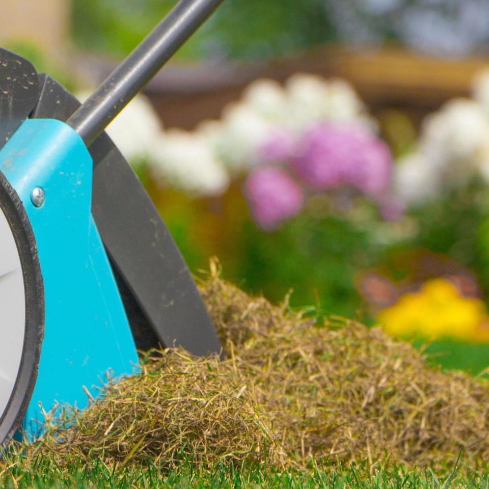 Fertilization/Weed Control/Insect & Disease Control