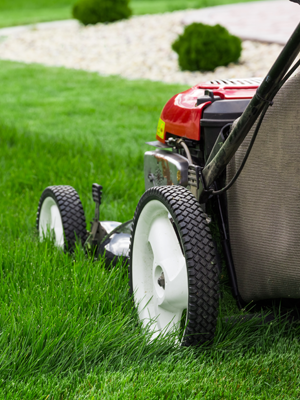 MADISON LAWN CARE &amp; LAWN MOWING SERVICES