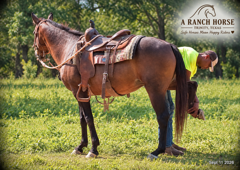 💚 Pop-tart Kid Safe & Family Safe Mare💚