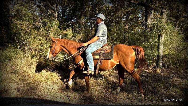 💚Ranger Safe for All Ages💚