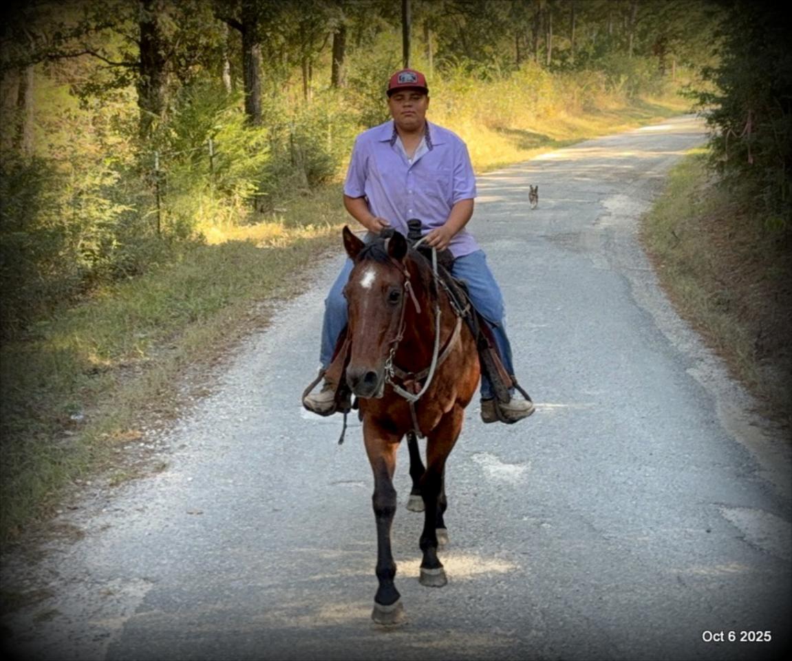 🌟 Meet Brownie – Your All-Around Ranch and Trail Partner 🌟