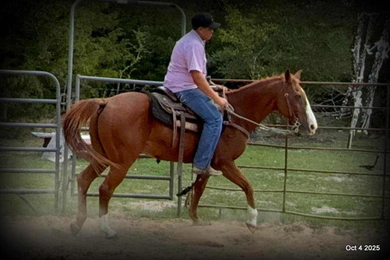 Ranger Safe for All Ages