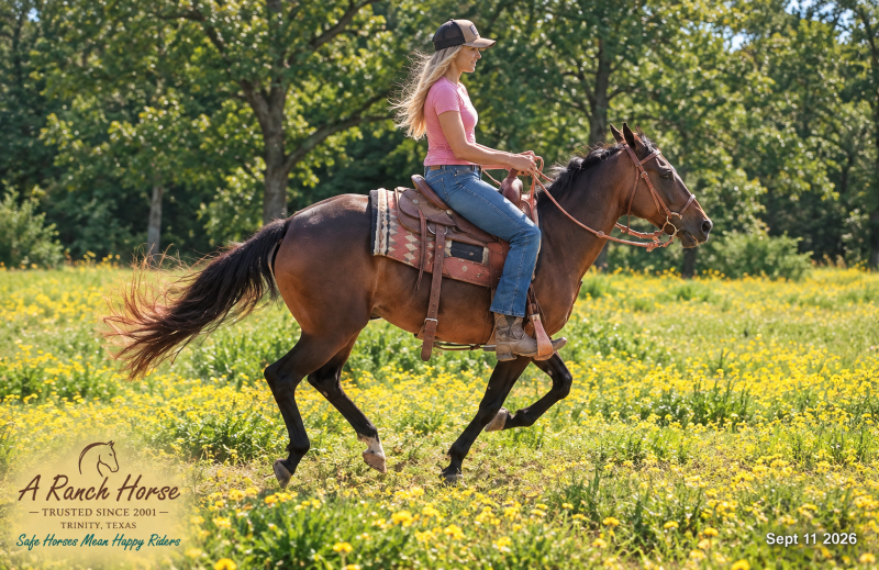 💚 Pop-tart Kid Safe & Family Safe Mare💚