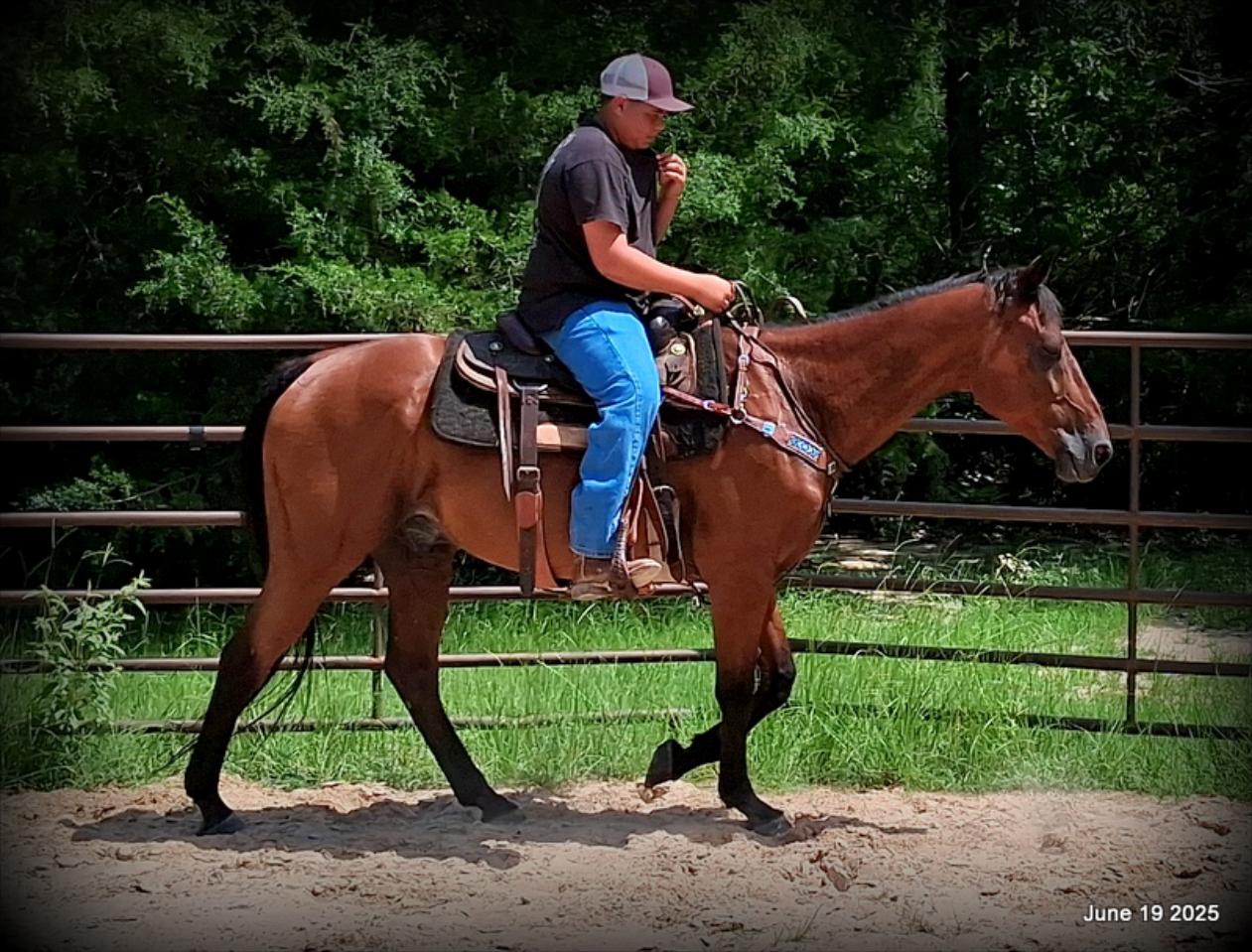 Sammy – A Comeback Story with a Heart of Gold