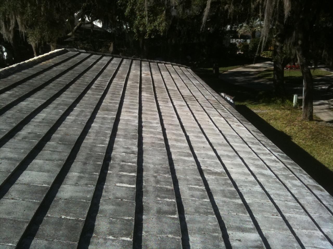 Roof Cleaning&nbsp;