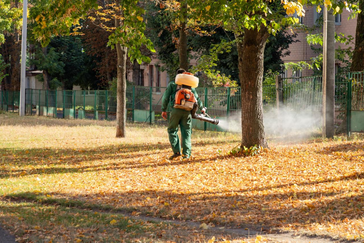 Mosquito Control