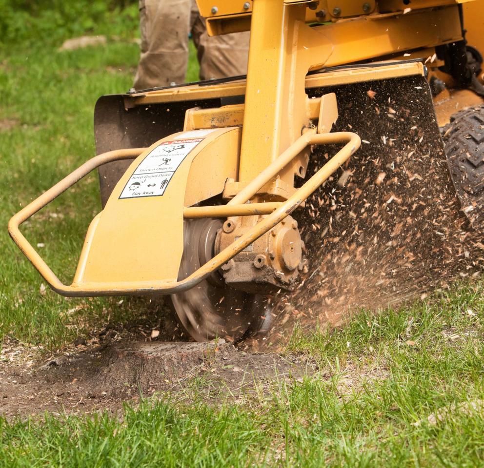 Stump Grinding