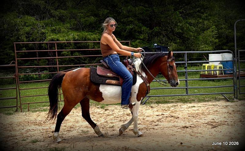 🧡Coca🧡Solid, Sensible Trail Mare 🌟