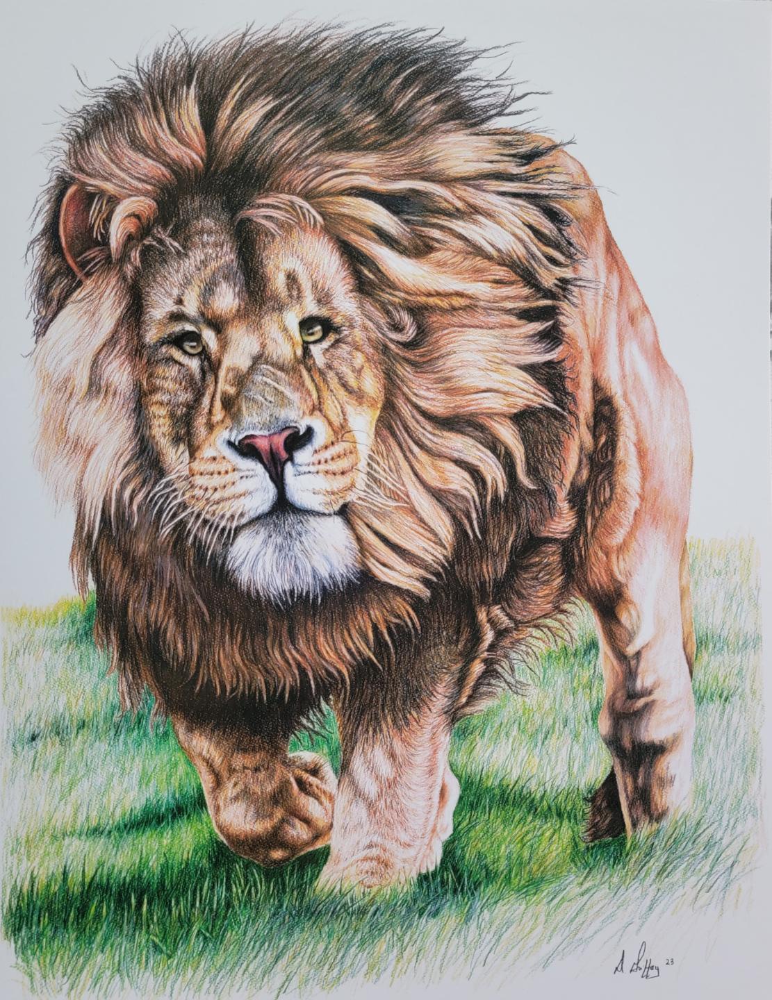 King of the Jungle