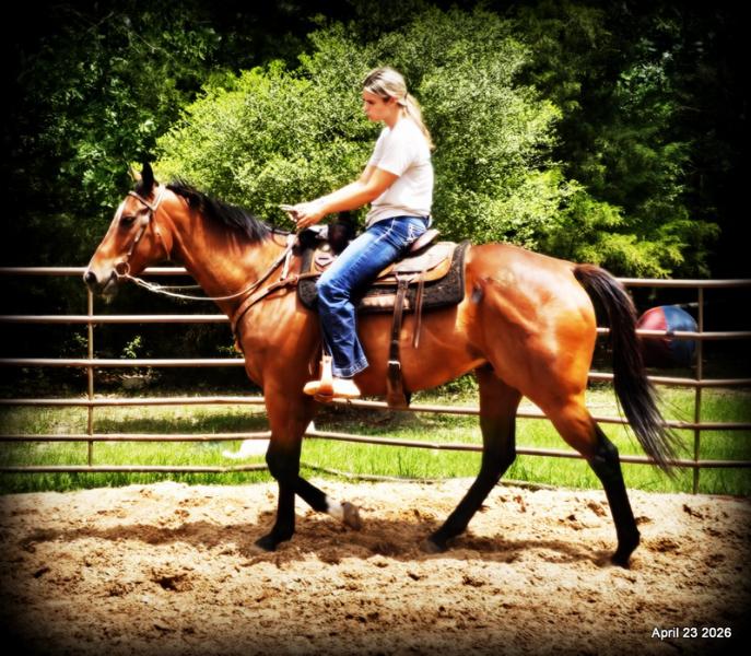 Darylslitlediablo (Diablo)