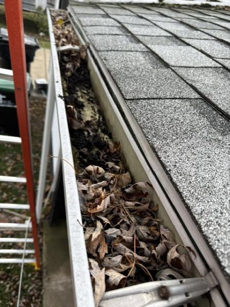 Our Comprehensive Gutter Cleaning Process