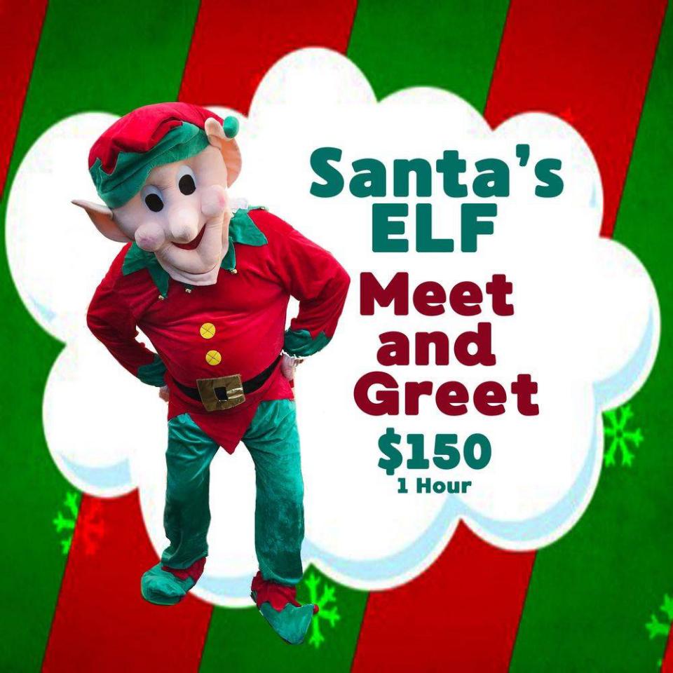 Meet and Greet with Santa&#39;s Elf!