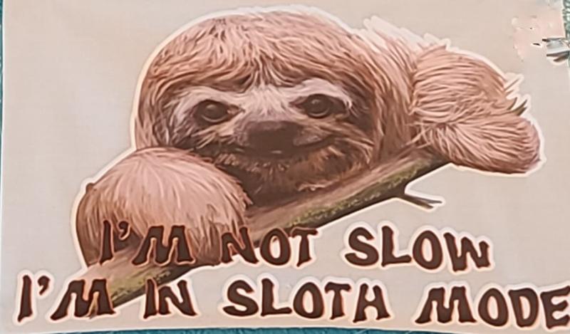 Sloth Mode Hoodie