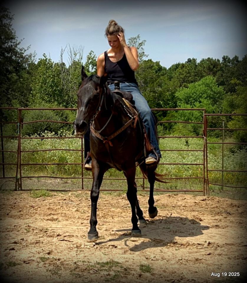 Shadow – The Sweetheart Everyone’s Looking For