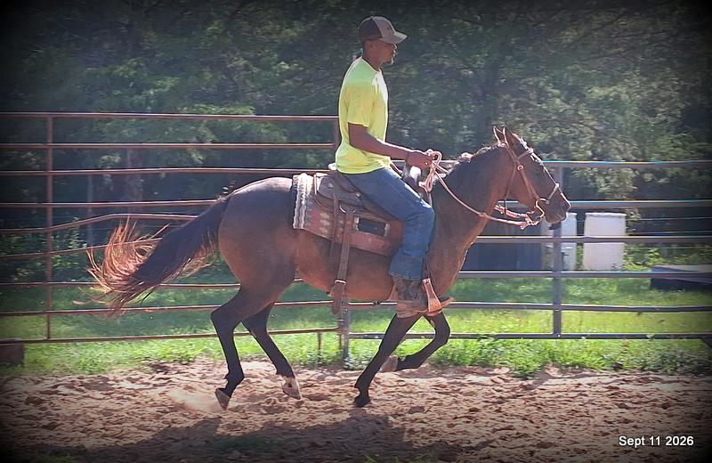 💚 Pop-tart Kid Safe & Family Safe Mare💚