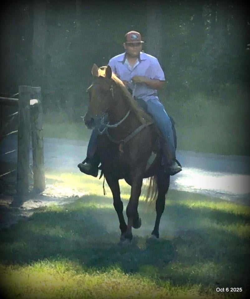 🌹 Meet Missouri – The Mare That Makes Every Ride Feel Like Home 🌹
