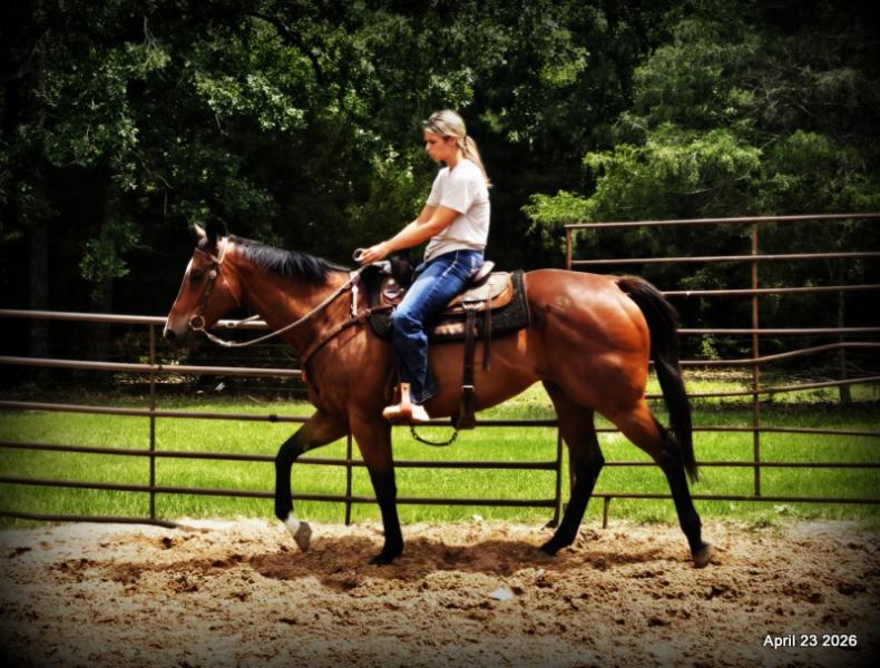 Darylslitlediablo (Diablo)