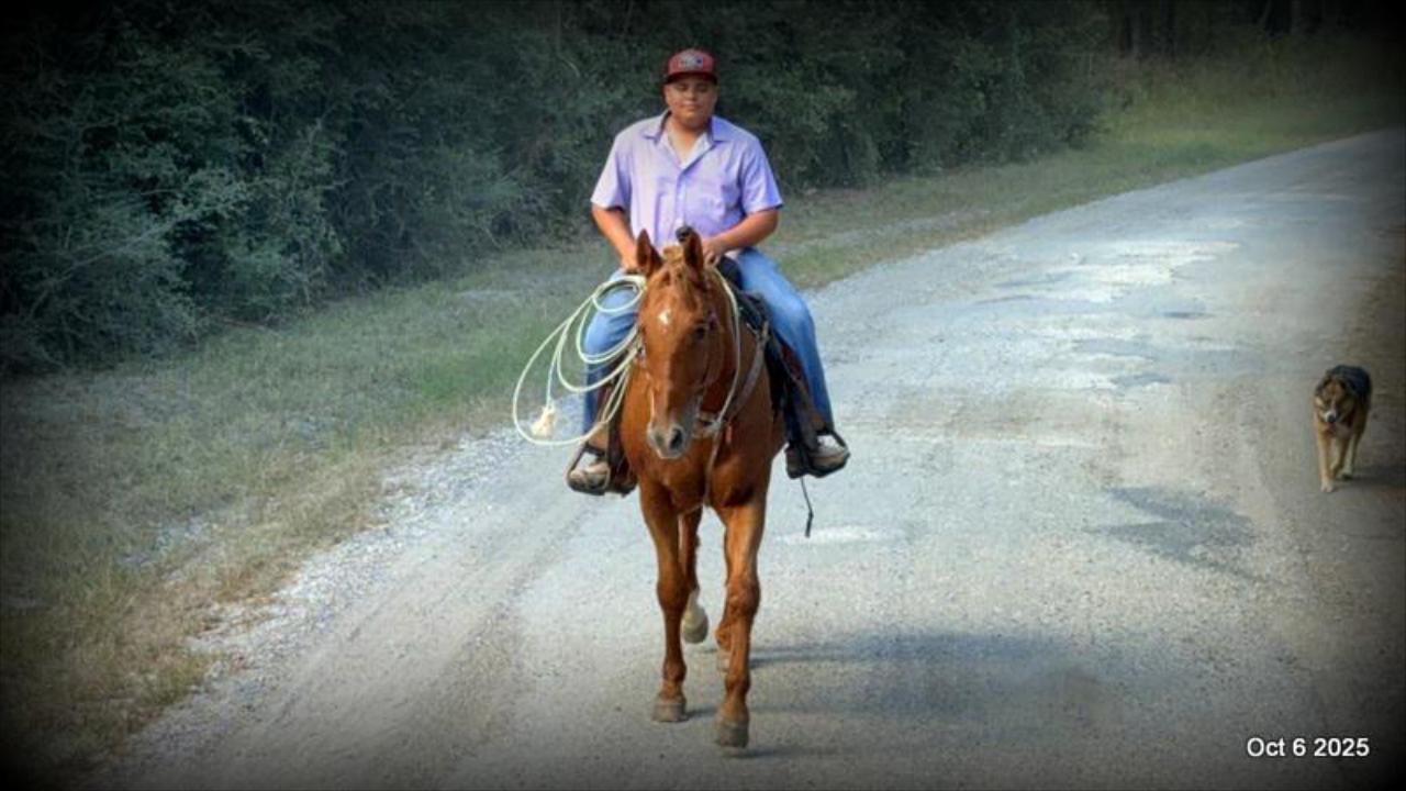 Biggie – Ranch-Tested, Family-Safe, and Ready to Ride!