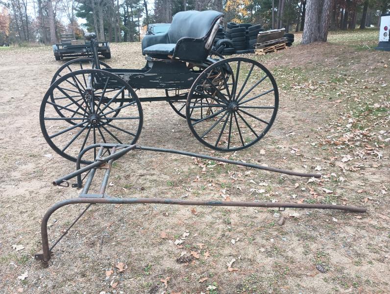 Antique Horsedrawn Drs Buggy with convertible top