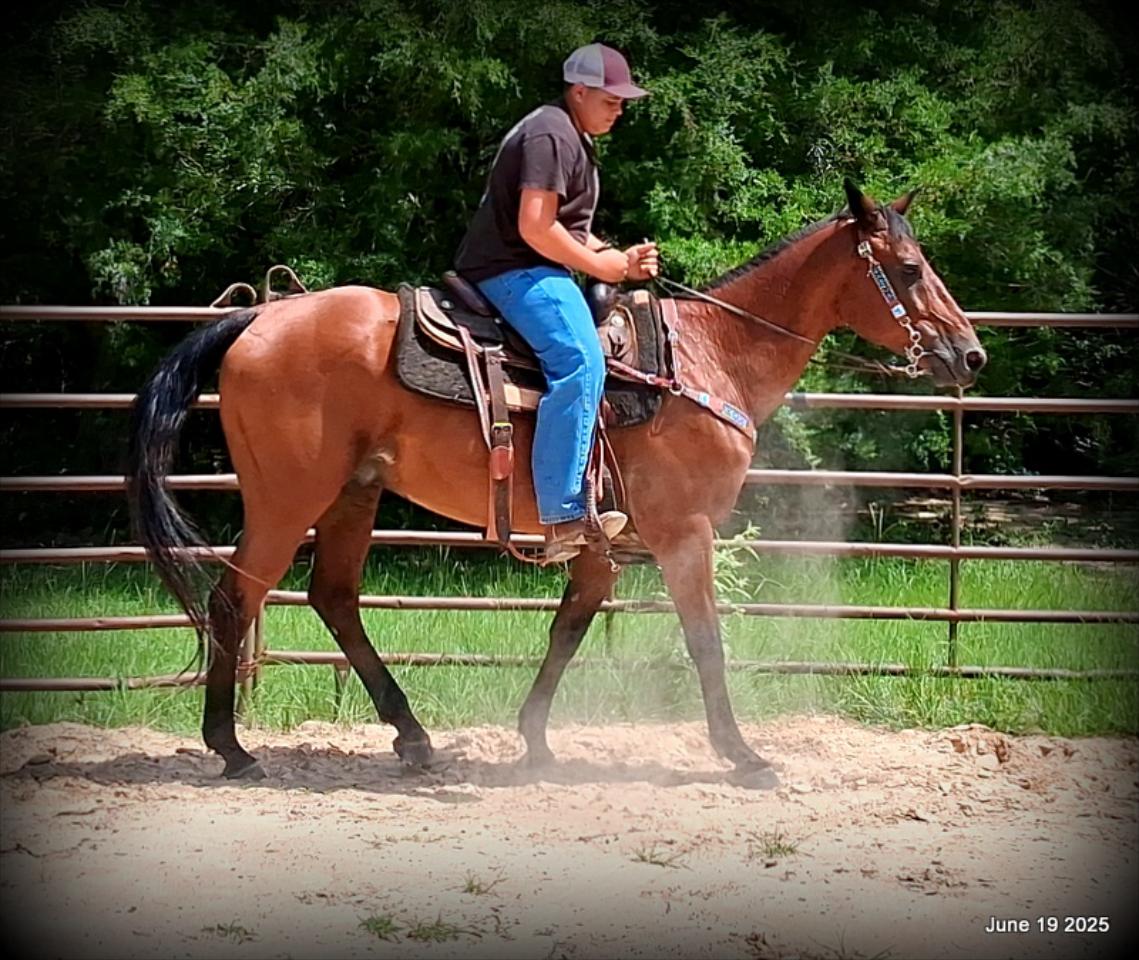 Sammy – A Comeback Story with a Heart of Gold