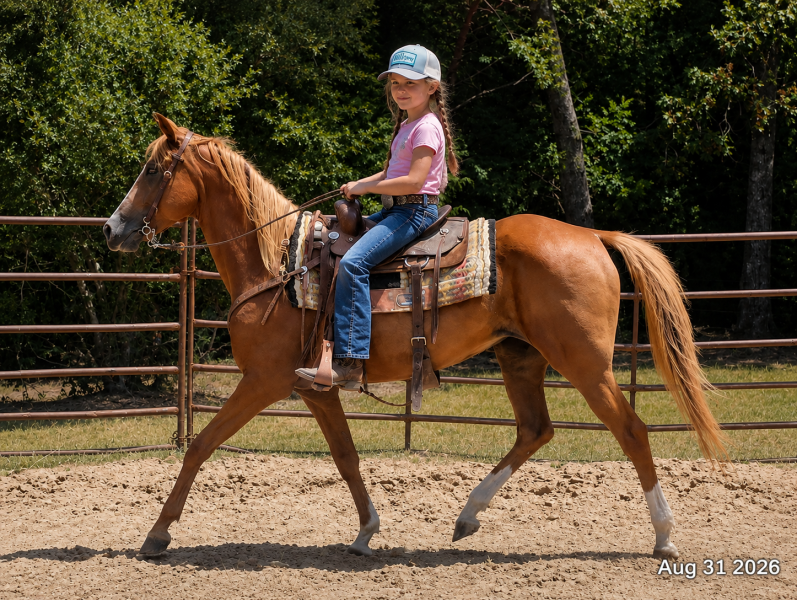 💚Blair • Beginner and Kid Safe, Seasoned Trail Mare💚