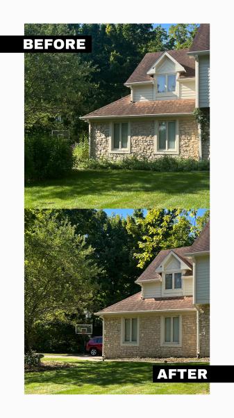 Landscape Maintenance