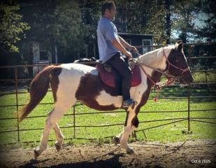 Jazzy – A Warrior Seeking Her Second Chance