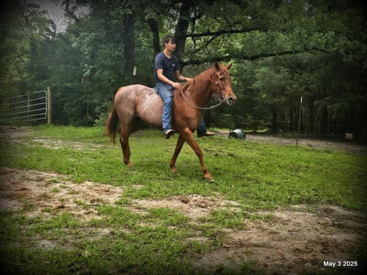 Josie