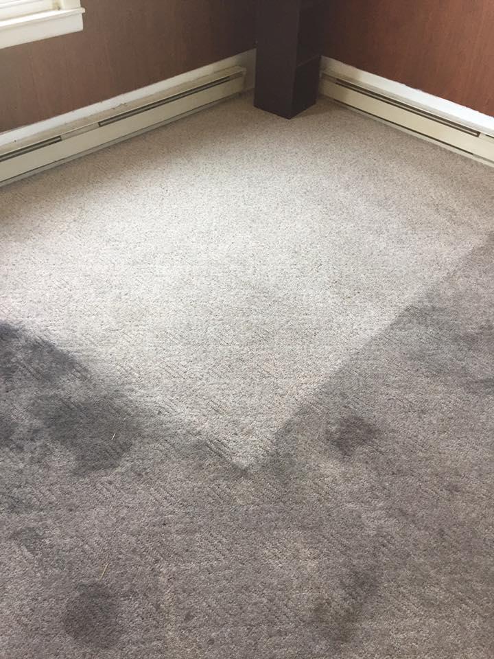 Carpet Cleaning