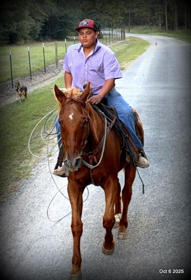 Biggie – Ranch-Tested, Family-Safe, and Ready to Ride!
