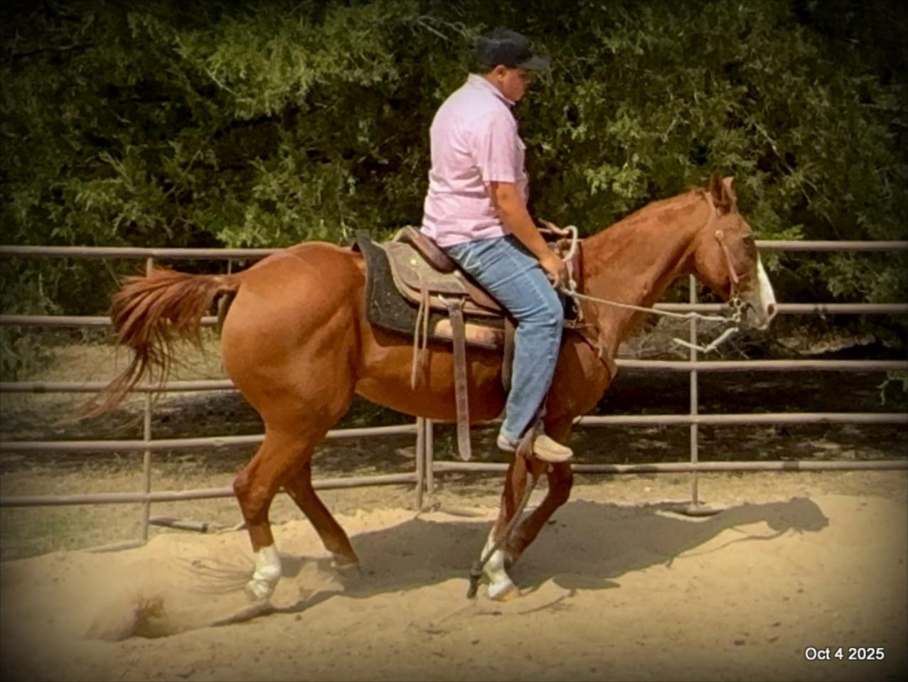 Ranger Safe for All Ages