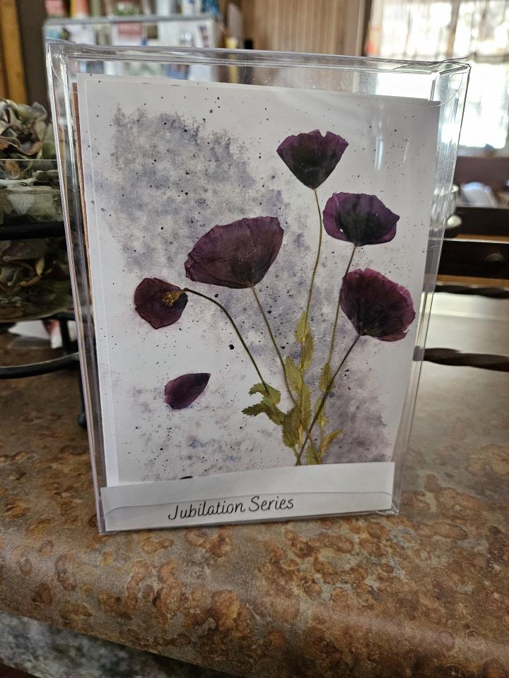 Jubilation Series 10 pack print cards