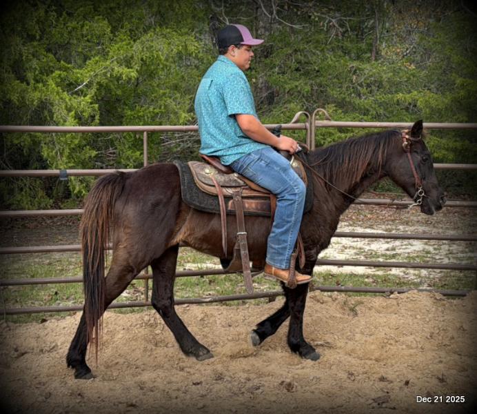 🩷❤️Pixie🩷❤️