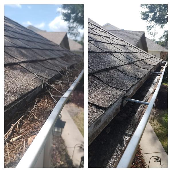 Gutter Cleaning