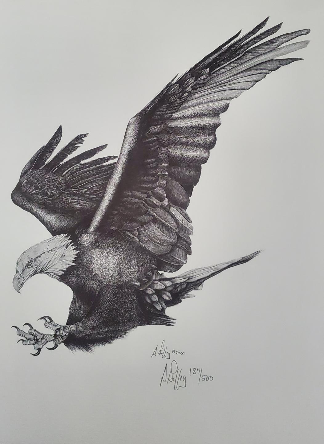 Eagle in Flight