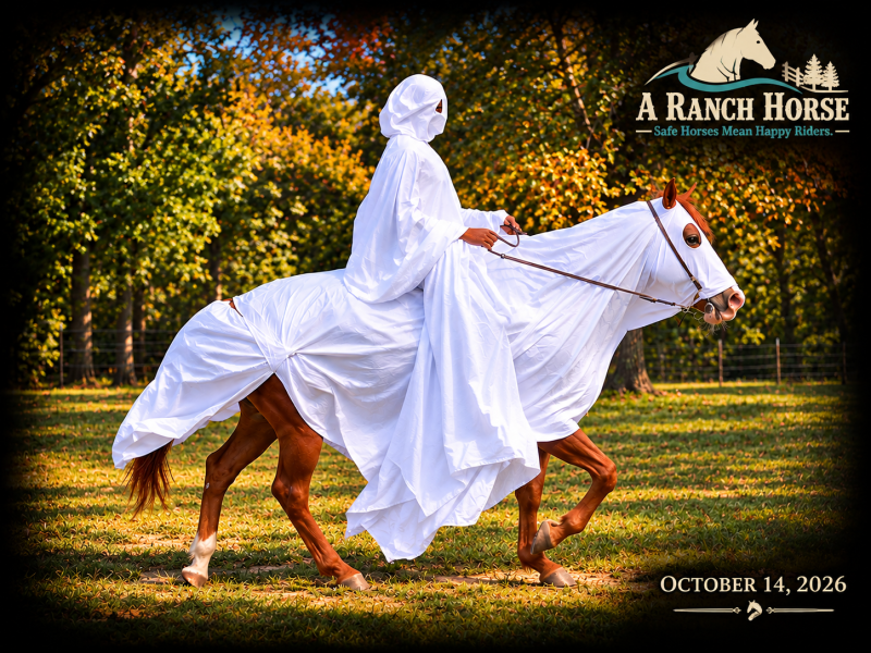 💚 Brandy | The Horse Every Parent Dreams Of! #1 Kid Horse💚