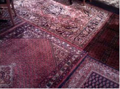 Area Rug Cleaning Services in Hammond, LA
