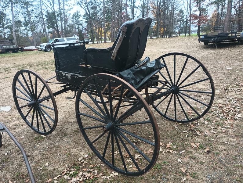 Antique Horsedrawn Drs Buggy with convertible top