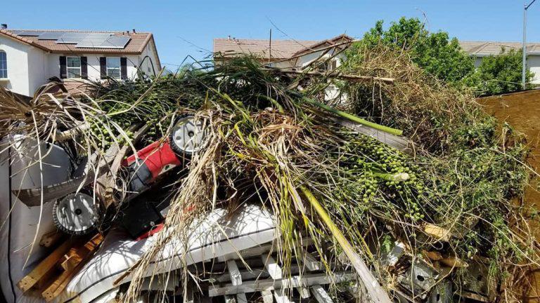 ONE TIME YARD CLEAN-UP