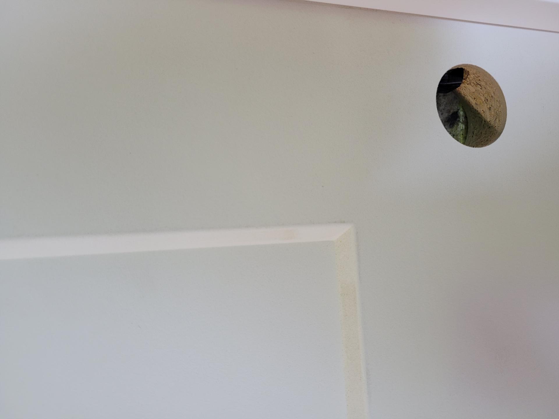 Interior Molded Door